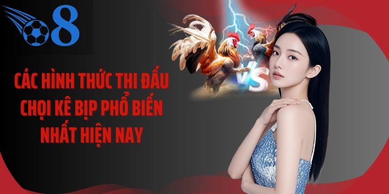 Các hình thức thi đấu chọi kê bịp phổ biến nhất hiện nay