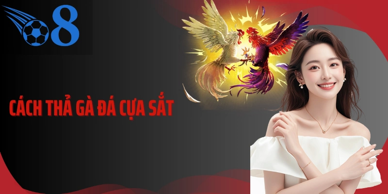 Cách Thả Gà Đá Cựa Sắt Chuẩn Xác Và Nhịp Mở Kèo Hiệu Quả
