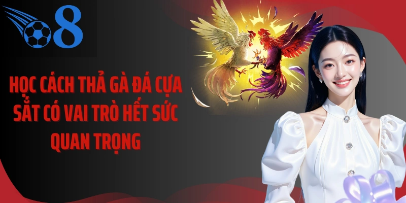 Học cách thả gà đá cựa sắt có vai trò hết sức quan trọng