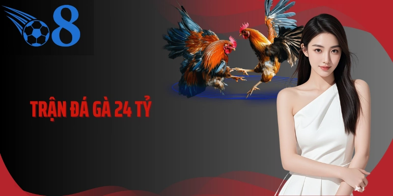 Trận Đá Gà 24 Tỷ Và Cuộc Đối Đầu Kỷ Lục Lịch Sử Gà Chọi